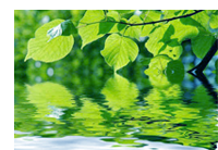 Wasser