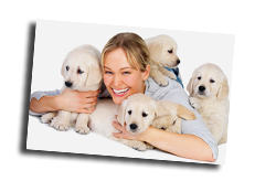 Hunde
