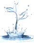 Wasser